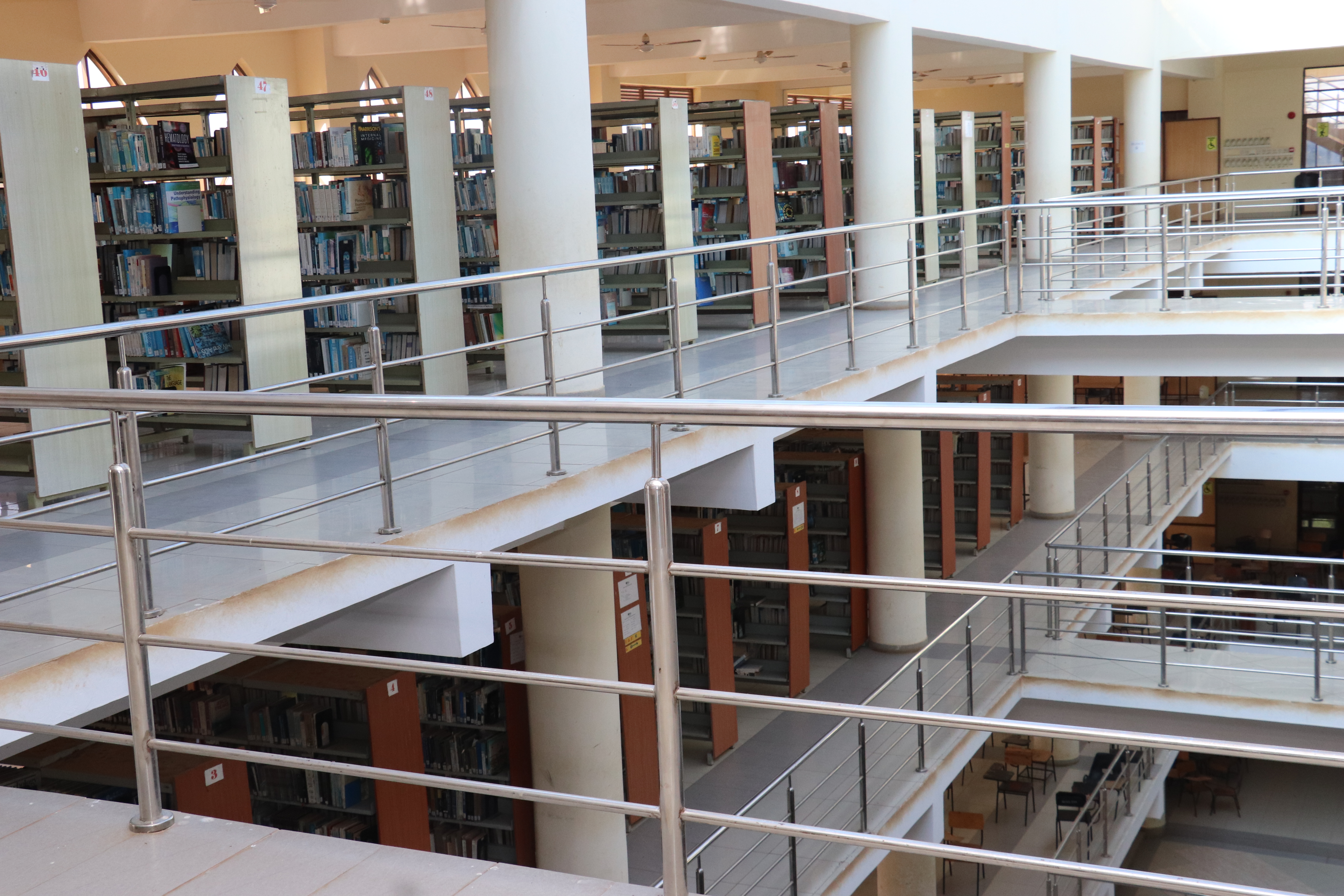 Library Image 12